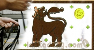 වයඹ සන්ධාන මන්ත්‍රීවරු අගමැතිට එරෙහි විරෝධතාවක