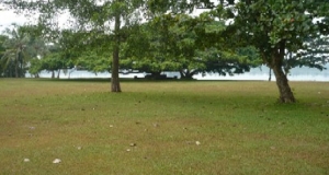 අක්කර 20 ට වැඩි වතු 7021 යි