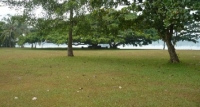 අක්කර 20 ට වැඩි වතු 7021 යි