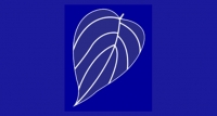 සන්ධාන කාර්යාලයකට අසූචි ප‍්‍රහාරයක්
