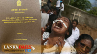 පාස්කු කොමිසමේ නිර්දේශ, දේශපාලන අර්බුධයකට මඟ පාදයි..