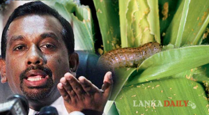 රුවන්ඩාවෙන් පැමිණි කණ්ඩායම සිදුකරන්නේ කුමක්ද ? අමාත්‍ය මහින්දානන්දගෙන් පිළිතුරු