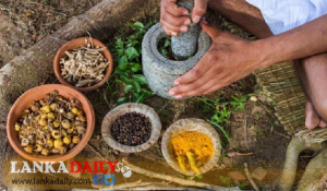 ආයුර්වේදයේ ප්‍රතිකාර ලැබූ ආසාදිතයින් කිසිවෙකුත් මිය ගිහින් නැහැ !