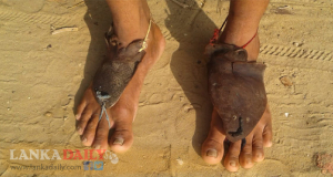 දවසට දහදොළොස් වතාවක් ජීවිතය පරදුවට තබන්නෝ - දයා නෙත්තසිංහ