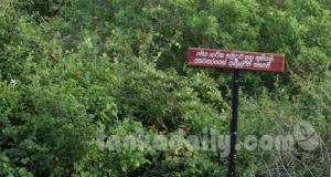 අරුගම්බේ මන්දිර පිටුපස තවත් බිහිසුණු කතාවක්