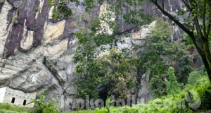 බටදොඹ ලෙනේ සොයා ගැනීමකින් මිනිස් ඉතිහාසය යළි ලියැවේ