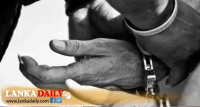 ශ්‍රීපාද වන්දනාවේ ගිය මව සහ පියා අත්අඩංගුවට
