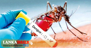 ඩෙංගු අධි අවදානම් කලාප 71 ක්