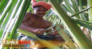 කෘත්‍රිම රා නිෂ්පාදනයට ප්‍රමිතියක්