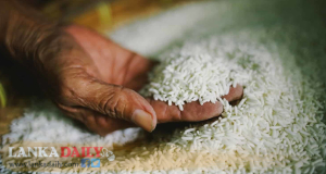 අනුර මිළට හාල් විකුණන්න බැහැ. සිල්ලර වෙළෙන්දෝ හාල් විකිණිම අත් හරියි