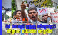 මස් රාත්තලම ඉල්ලු ෂයිලොක්ලාට, රනිල්ගෙන් කට්ටක්වත් නොලැබිණි