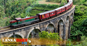 ආපදාවෙන් හානි වූ උඩරට මැණිකේ නැවතත් ගමන් අරඹයි