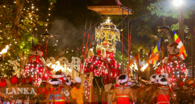 දළදාවේ ඇසළ පෙරහැර මංගල්‍යය පළමු කුඹල් පෙරහර අද වීථි සංචාරයට සුදානමින්