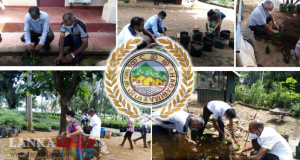 හදබිම අධිකාරියෙන් ආහාර සුරක්ෂිතතාව සඳහා නව වැඩපිළිවෙලක්