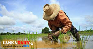 ගොවීන්ට වන්දි මුදල් ලබාදීම පෙබරවාරි මස