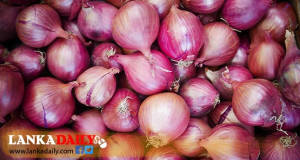 රතුලූනු වගාව සඳහා නොමිලයේ රක්ෂණාවරණයක්
