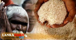 අඩු ආදායම්ලාභී ජනතාවට උත්සව සමයේදී සහල් 20kg ක්