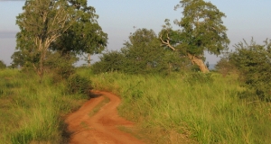 කෝටි 3 ක ගංජා උඩවලවෙන්