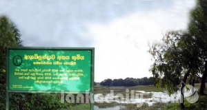 පාරිසරික හා ජල අයිතිය ඉල්ලා පාරට බසින්නට සිදුවූ ආනවිලුන්දාවේ අසරණ මිනිසුන්ගේ කතාව...