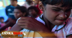 සරම්ප සහ රුබෙල්ලා ප්‍රතිශක්තිකරණ සතියක් ප්‍රකාශයට පත් කරයි