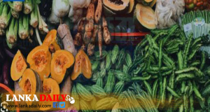 පහත රට එළවළු මිල ඉහළට