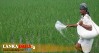 වී ගොවියන් සඳහා ලබාදෙන පොහොර සහනාධාරය ඉහළ නැංවීමට පියවර