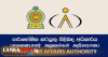 උත්සව සමයේ පාරිභෝගිකයින් ආරක්ෂා කිරීම සඳහා විශේෂ වැඩපිළිවෙලක්