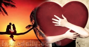 ගස්වල සල්ලි තියෙනවා නම් කෙල්ලෝ වඳුරන්ටත් ආදරෙයි