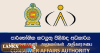 අදින් පසු පාරිභෝගිකයින්ට නොමිළේ ෂොපින් බෑග් නැහැ - අවශ්‍ය නම් මුදල් ගෙවිය යුතුයි