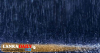 අදත් මහා වරුසා