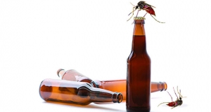 මදුරුවන්ට වෙරි වෙනවද?