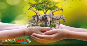 සත්ව අයිතීන් තහවුරු කරමින් සත්ව සුබසාධන පනතට කැබිනට් අනුමැතිය හිමි වේ !