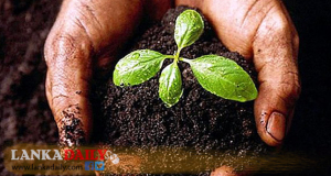 හරිත කෘෂිකර්මාන්තය සඳහා තවත් කාර්ය සාධක බලකායක් පත් කෙරේ