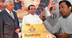සුරක්ෂා රක්ෂණයෙනුත් යටිමඩි ගැහිල්ලක්