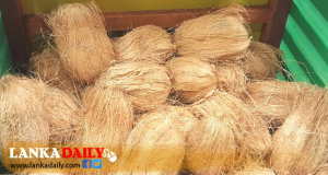 අද සිට ප්‍රදේශ කිහිපයක අඩු මිළට පොල් ලබාදීමේ වැඩසටහනක්