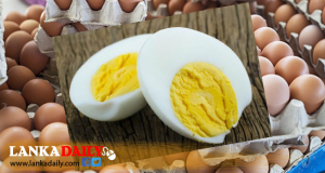 බිත්තර රු 30-35ට දෙන්න පුළුවන් - බිත්තර නිෂ්පාදකයින්ගේ සංගමය