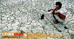 වගා හානි වූ ගොවීන්ට වන්දි මුදලට අමතරව නොමිලේ ඩීසල් !