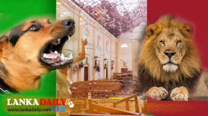 තවත් පාස්කු ප්‍රහාරයක් වෙයි කියල විපක්ෂය හිතන් ඉන්නවාද?