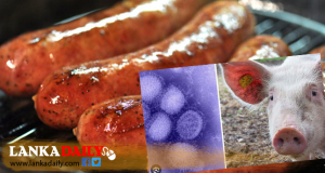 ආනයනික මස් නිෂ්පාදන තොගයක සූකර උණ වෛරසය