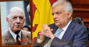 ලංකාවේ  ඩිගෝල් !