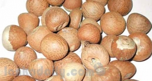 පුවක් ජාවාරමෙන් ඇමැති ගොඩ