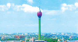 නෙළුම් කුලුනෙන් පහළට පනින්න කැමැති අයට ඉඩ