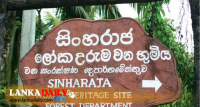සිංහරාජය ආශ්‍රිතව ජලාශ ඉදි කිරීමෙන් සිංහරාජයට බලපෑම් ! යුනෙස්කෝ අනතුරු අගවයි