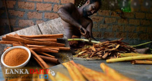 කොවිඩ් අස්සෙත් අපේ කුරුදු ආදායම අඛණ්ඩව ඉහළටම !