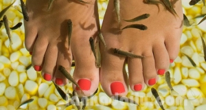 මාළුන්ට කියල මසාජ් කරගන්න