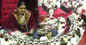 කොළඹ මහ නගර සභාවේ අයවැය මාලිමාව පරදී