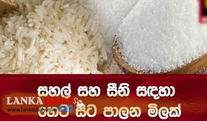 සිනි සහ සහල් සදහා පාලන මිළක් !