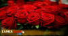 ආදරවන්තයන්ගේ දිනයට ඉන්දියාවෙන් රතු රෝස