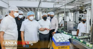 කිරි ගොවියා නගා සිටුවන්න ජනපති ගත් තීරණය !