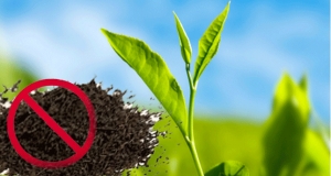 කසළ තේ ජාවාරමුන්ට දේශපාලන රැකවරණ